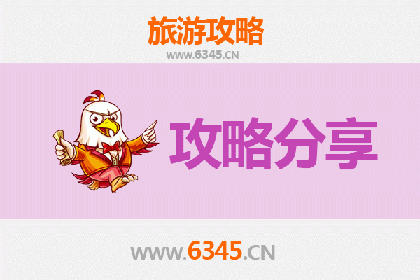 阜阳界首至湄洲岛旅游攻略：跟团还是自由行选择指南