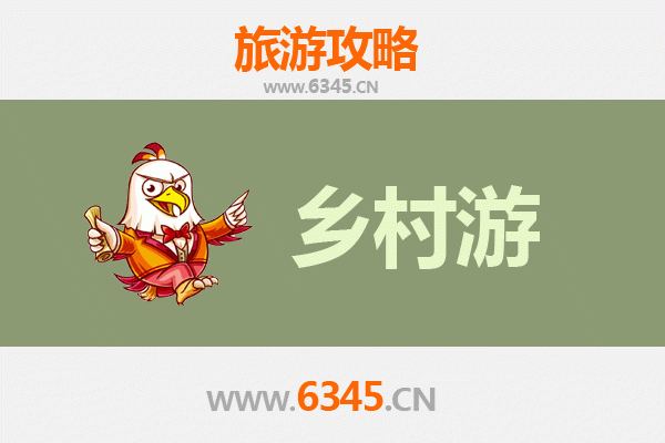 界首乡村漫游：探秘皖北田园风光与非遗文化